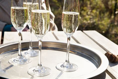 The 8 Best Champagne Glasses .